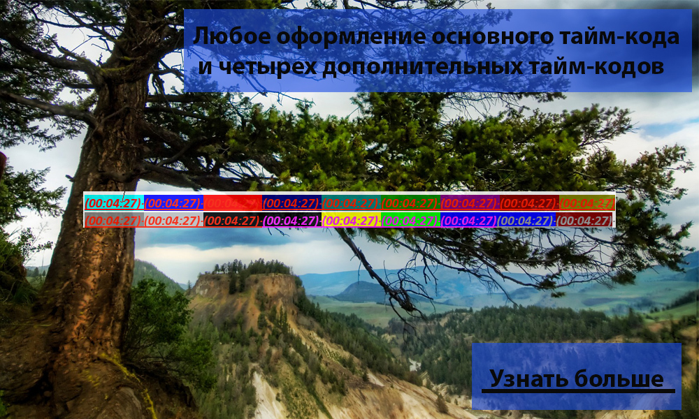 Любое оформление основного тайм-кода и четырех дополнительных тайм-кодов